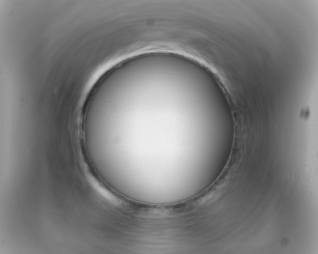 X0000092081519200709121055