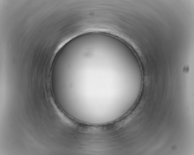 X0000092081521200709121055