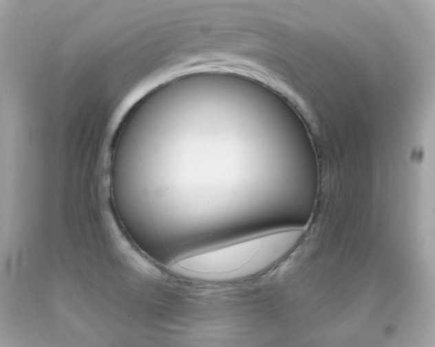 X0000092081522200709121055