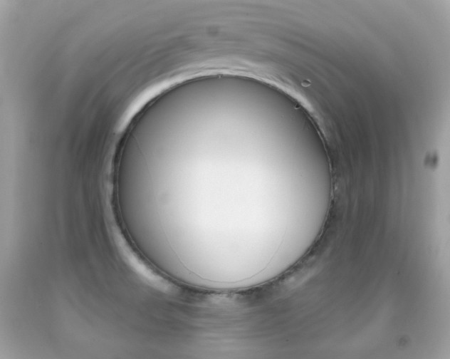 X0000092081523200709121055