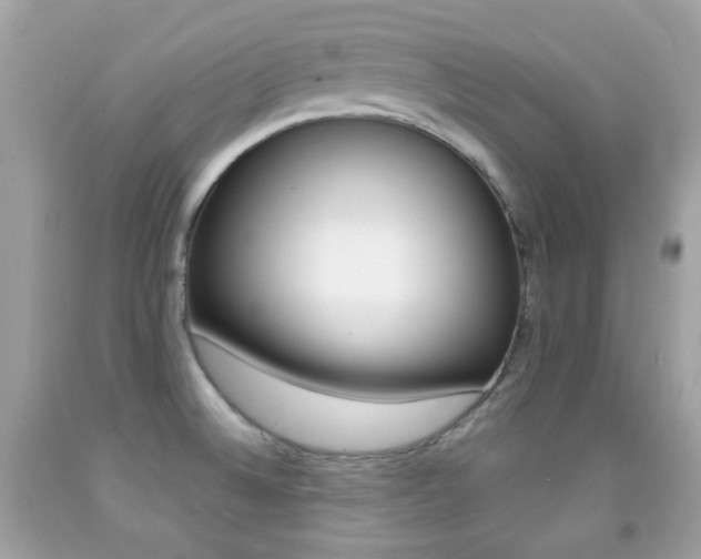 X0000092081524200709121055