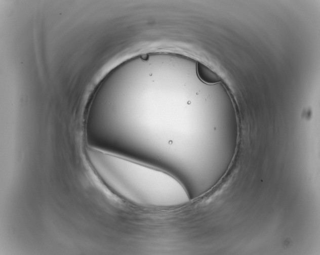 X0000092081525200709121055