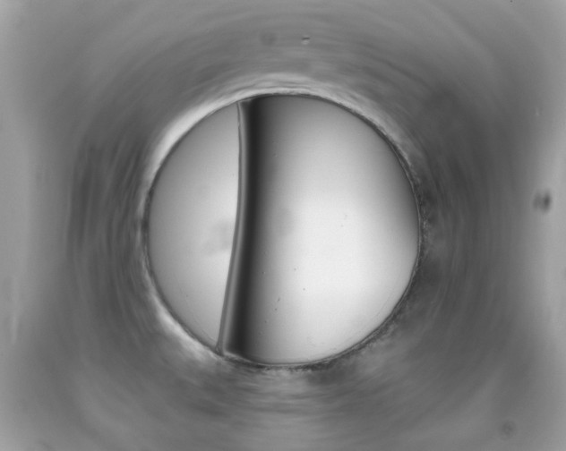 X0000092081527200709121055