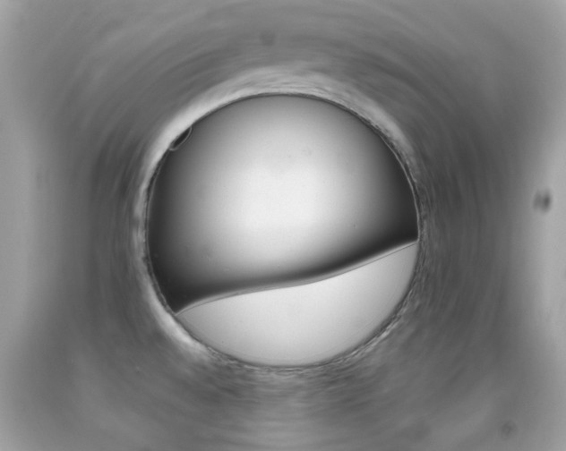 X0000092081528200709121055