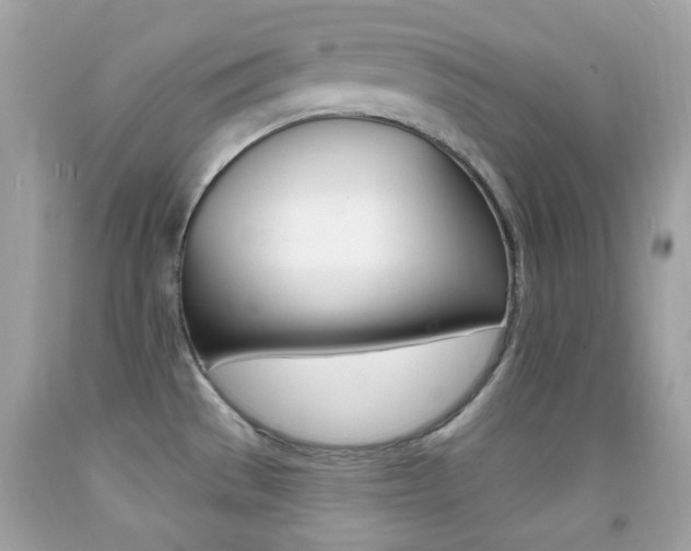 X0000092081529200709121055