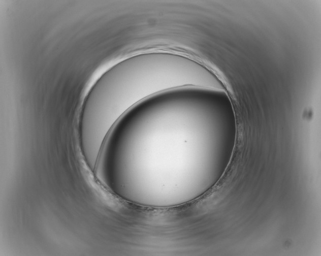 X0000092081530200709121055
