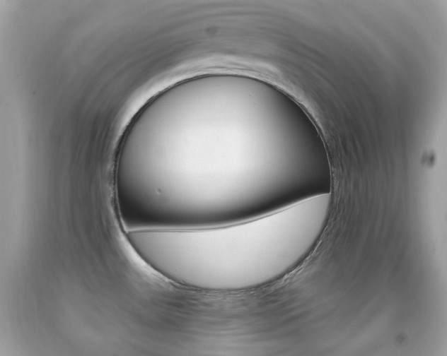 X0000092081531200709121055