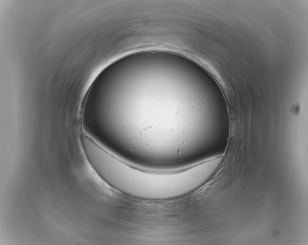 X0000092081532200709121055