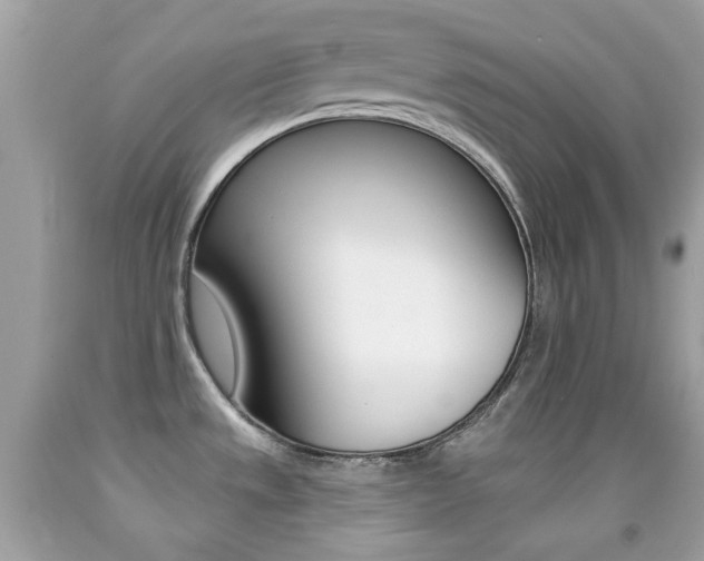 X0000092081533200709121055