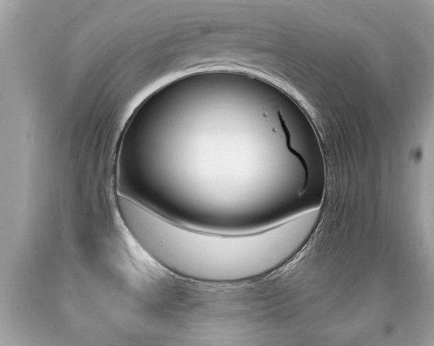 X0000092081534200709121055