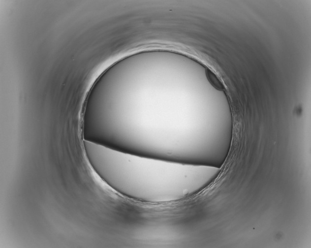X0000092081535200709121055