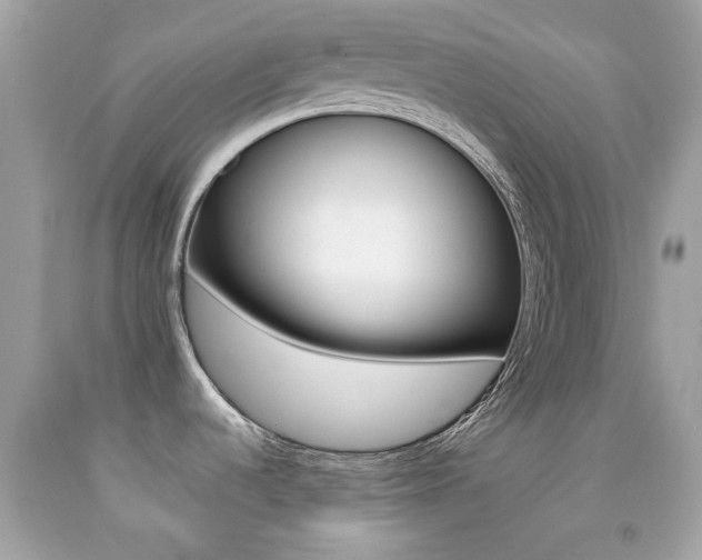 X0000092081536200709121055