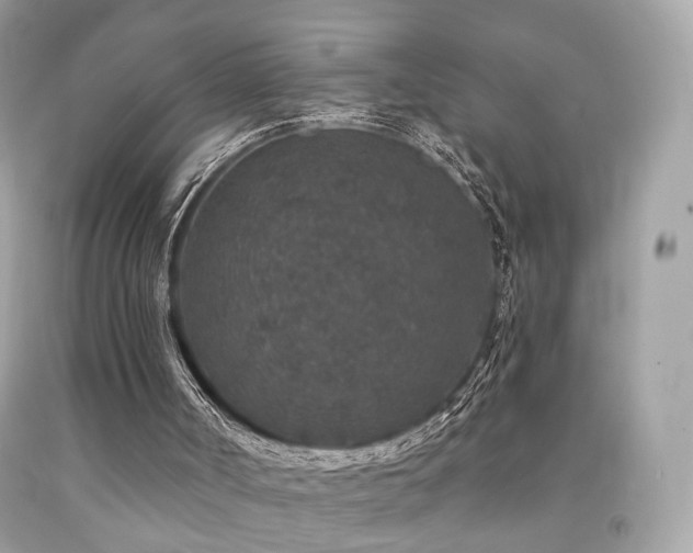 X0000092080002200709121453