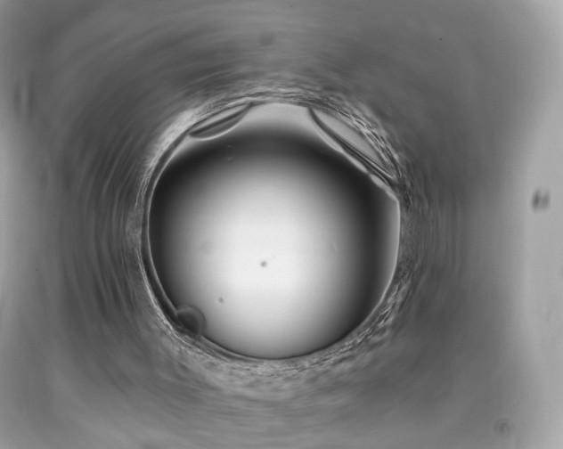 X0000092080003200709121453