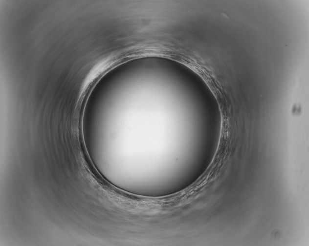 X0000092080004200709121453