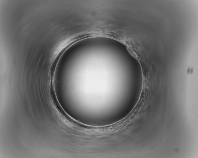 X0000092080005200709121453