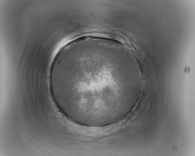 X0000092080006200709121453