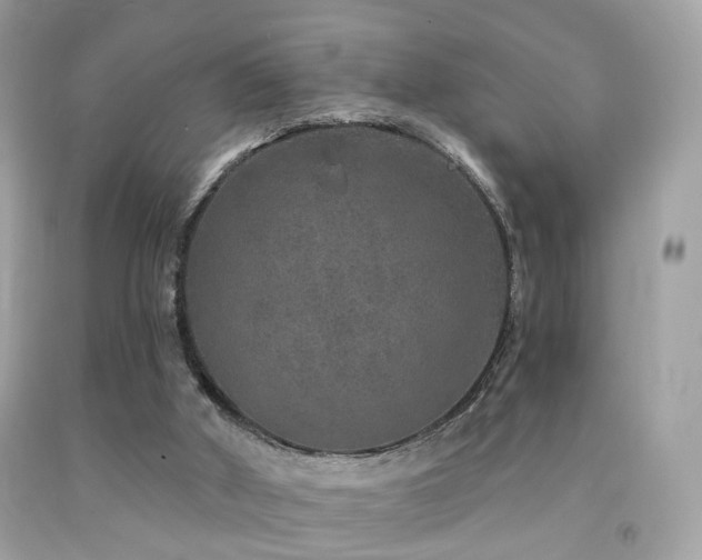 X0000092080010200709121453