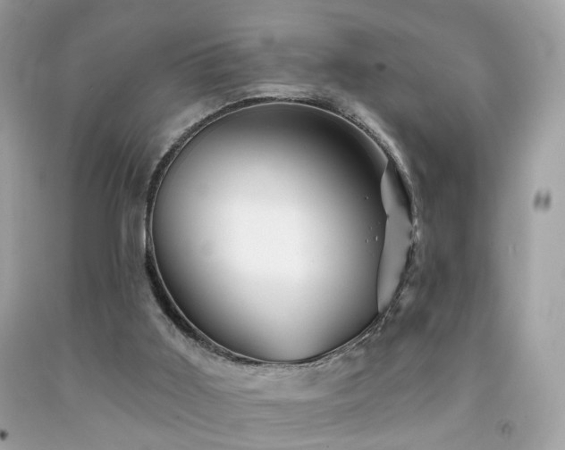 X0000092080011200709121453