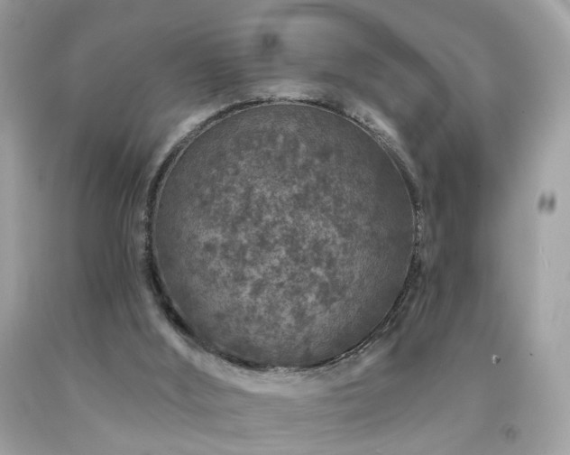 X0000092080012200709121453