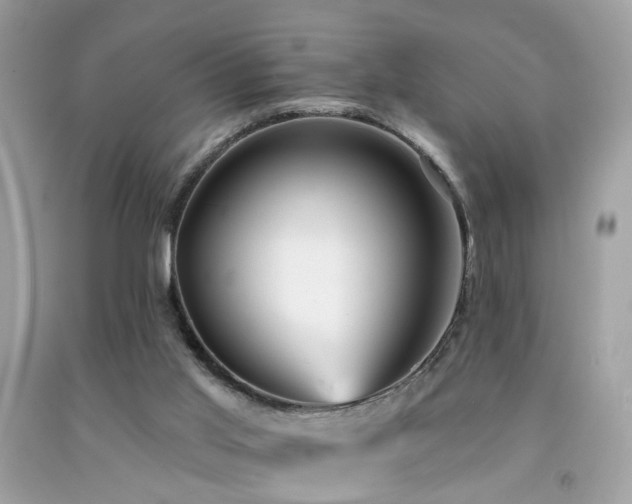 X0000092080013200709121453