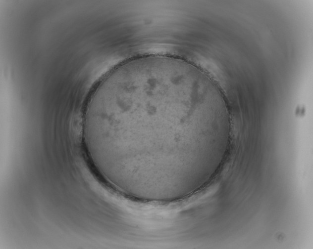 X0000092080016200709121453