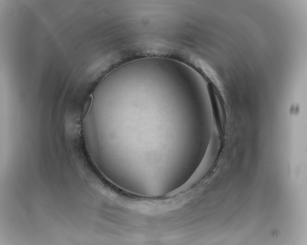 X0000092080017200709121453