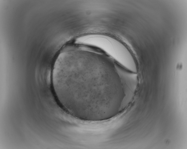 X0000092080019200709121453