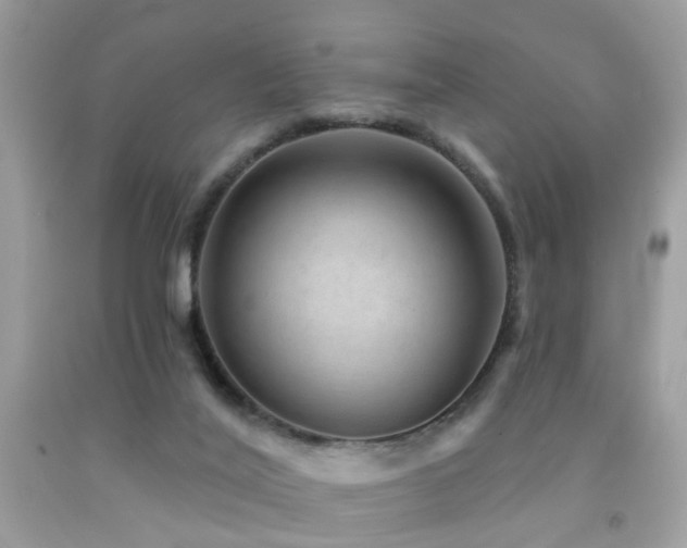 X0000092080020200709121453