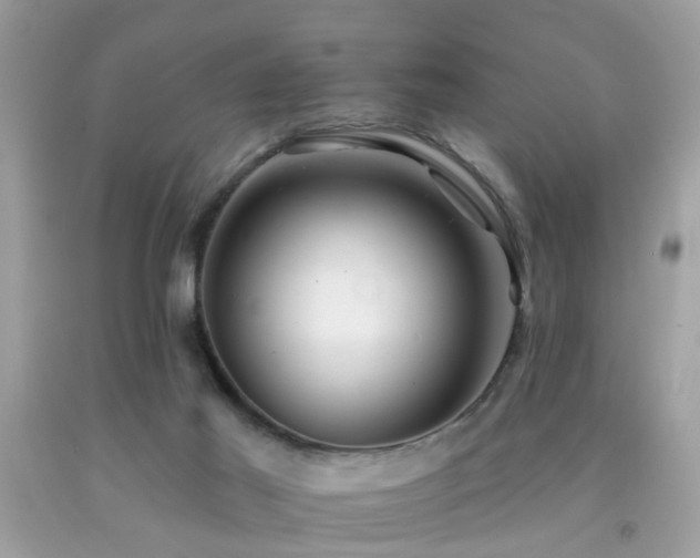 X0000092080021200709121453