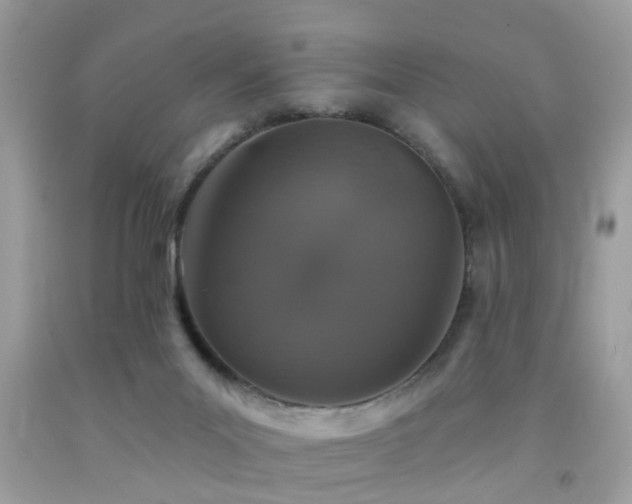 X0000092080023200709121453