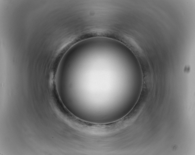 X0000092080024200709121453