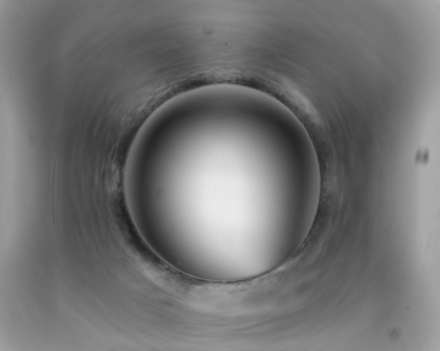 X0000092080025200709121453