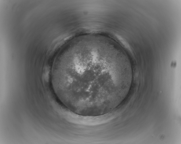X0000092080026200709121453