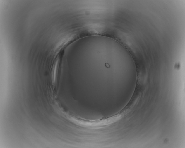 X0000092080027200709121453