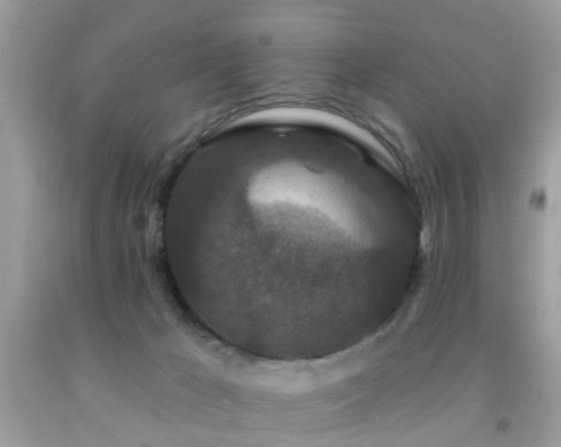 X0000092080029200709121453