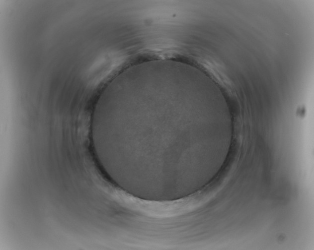 X0000092080030200709121453