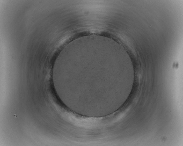 X0000092080032200709121453