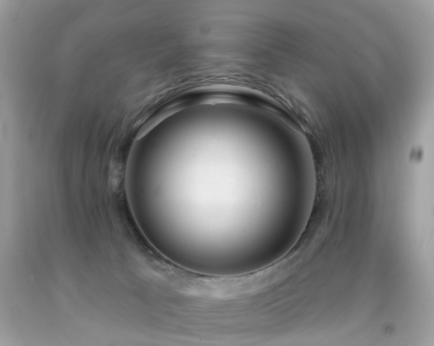 X0000092080033200709121453