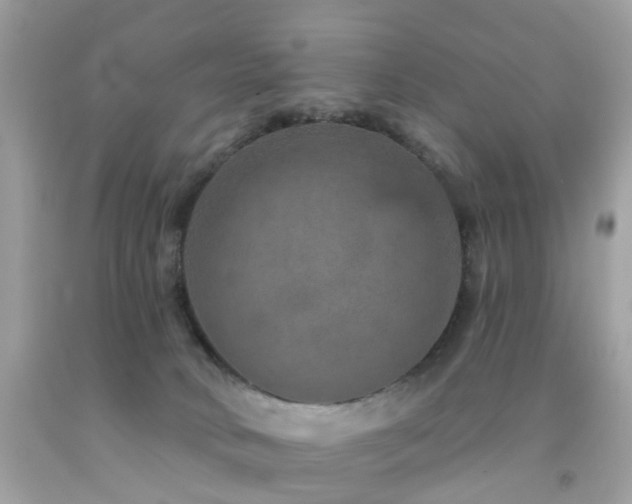 X0000092080034200709121453