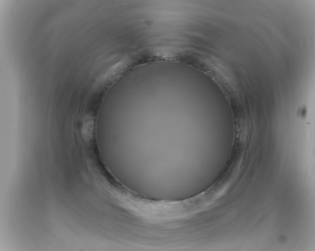 X0000092080036200709121453