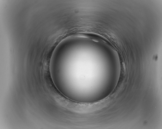 X0000092080037200709121453