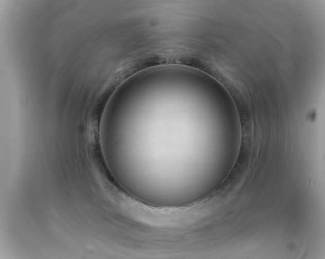 X0000092080038200709121453