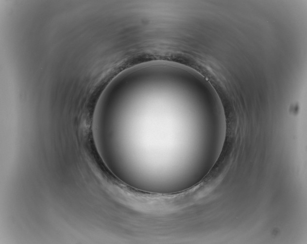 X0000092080040200709121453