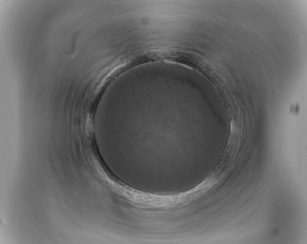X0000092080048200709121453