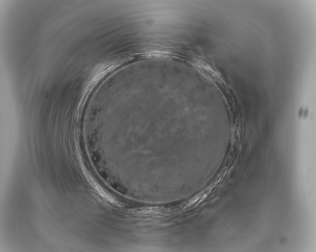 X0000092080049200709121452