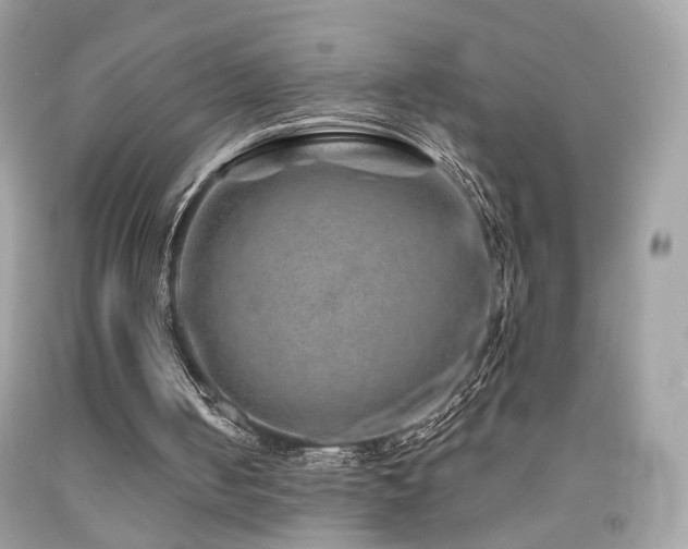 X0000092080050200709121452