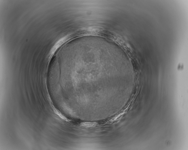 X0000092080051200709121452