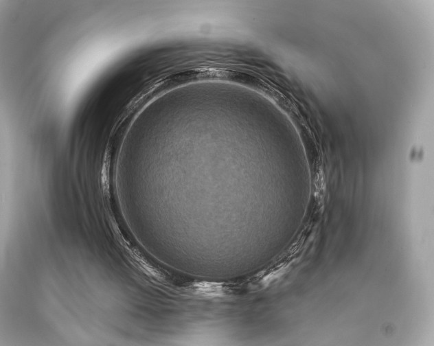 X0000092080052200709121452