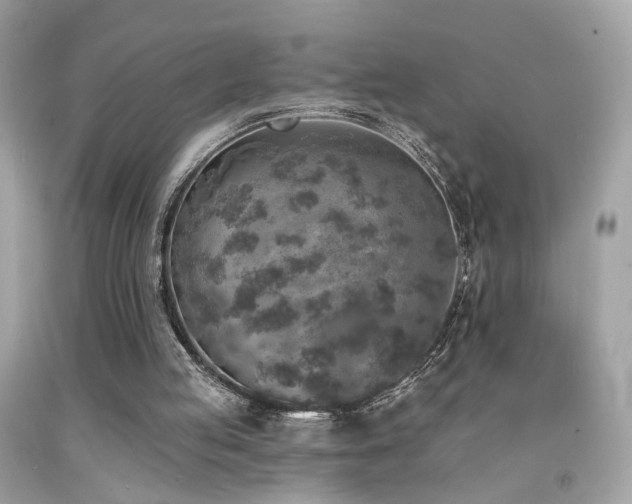 X0000092080053200709121452
